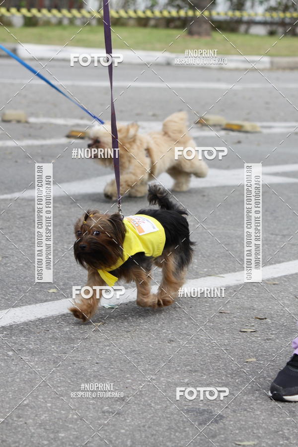 Buy your photos of the eventCorrida Pet Finde on Fotop