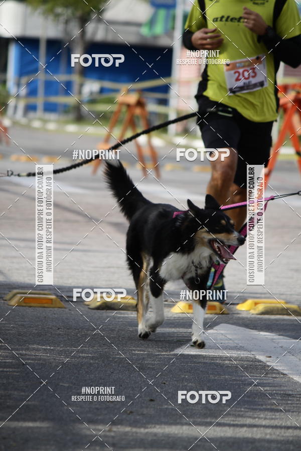 Buy your photos of the eventCorrida Pet Finde on Fotop