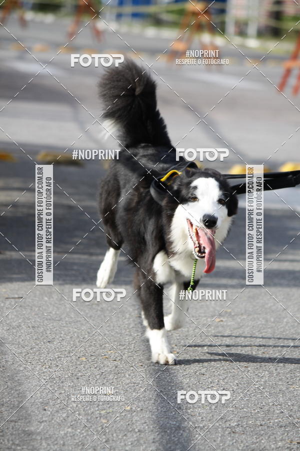 Buy your photos of the eventCorrida Pet Finde on Fotop