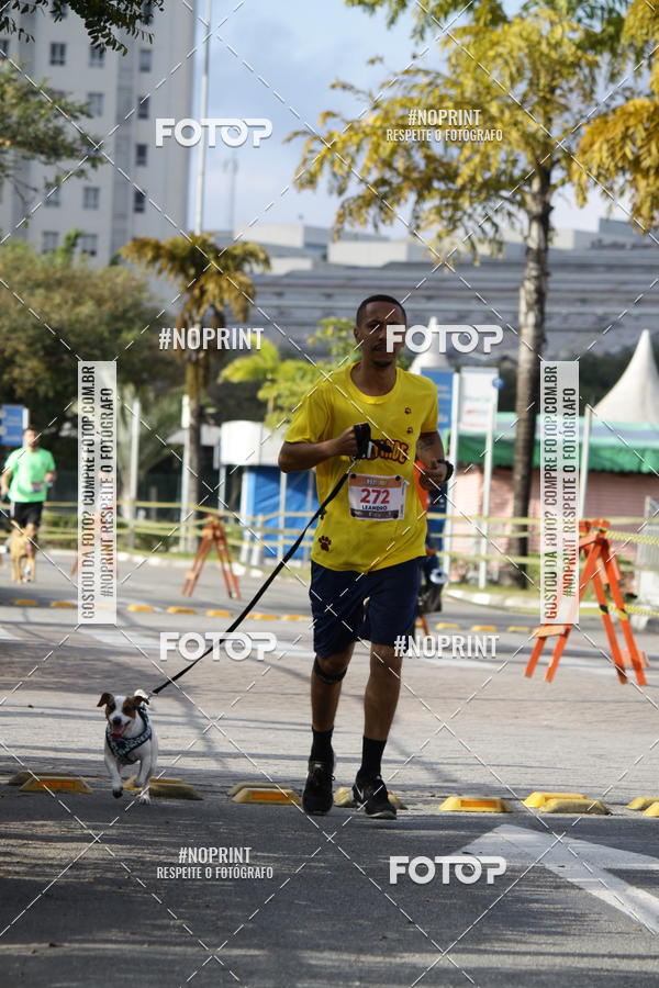 Buy your photos of the eventCorrida Pet Finde on Fotop