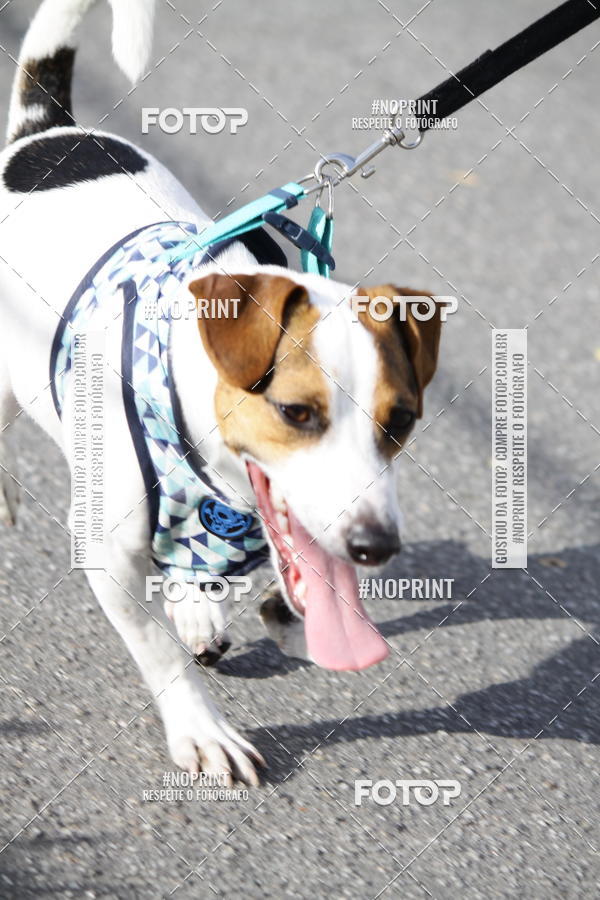 Buy your photos of the eventCorrida Pet Finde on Fotop