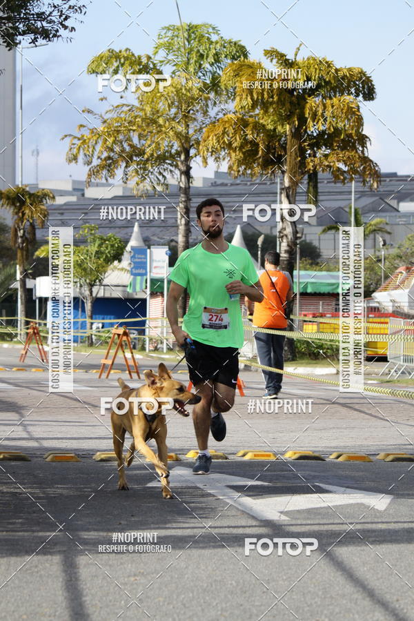 Buy your photos of the eventCorrida Pet Finde on Fotop
