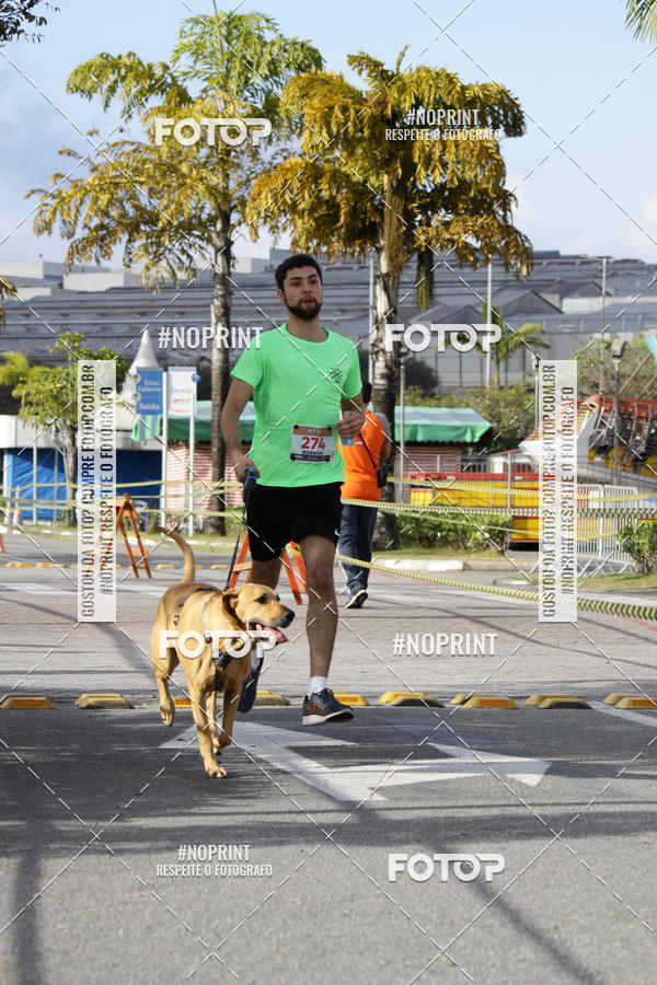 Buy your photos of the eventCorrida Pet Finde on Fotop