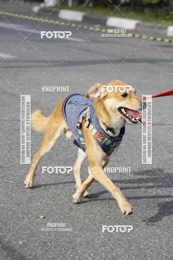 Buy your photos of the eventCorrida Pet Finde on Fotop