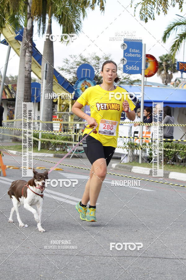 Buy your photos of the eventCorrida Pet Finde on Fotop