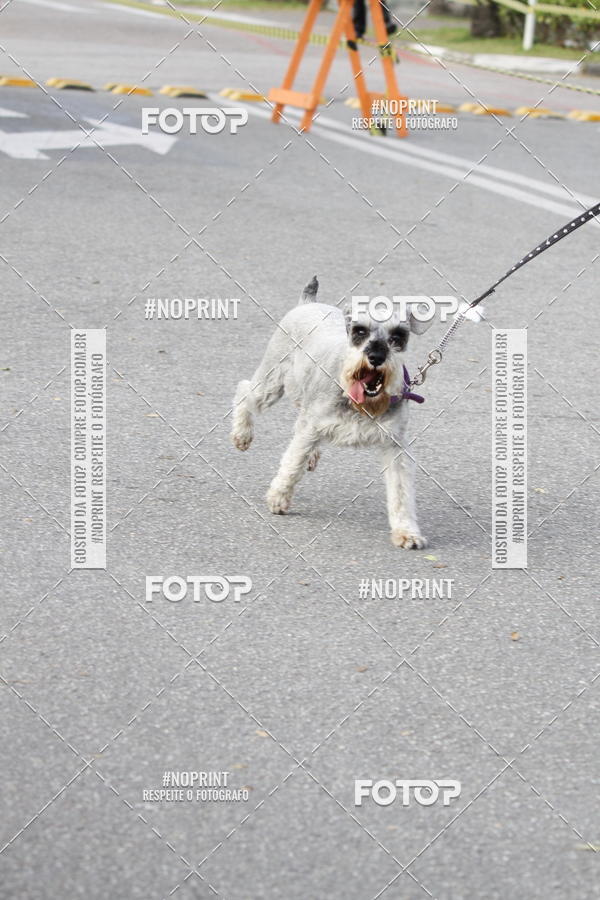 Buy your photos of the eventCorrida Pet Finde on Fotop