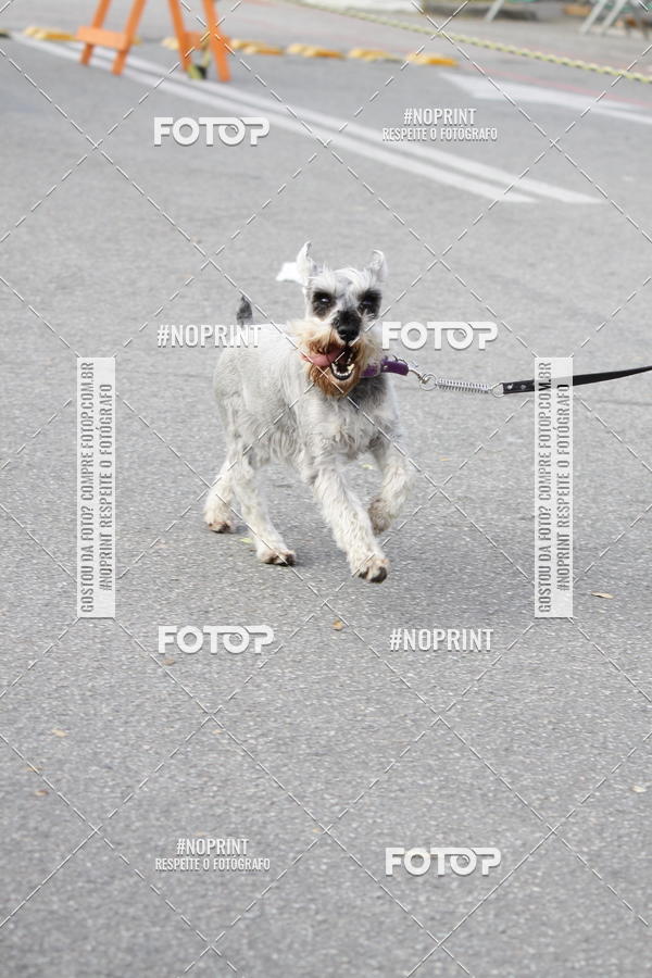 Buy your photos of the eventCorrida Pet Finde on Fotop