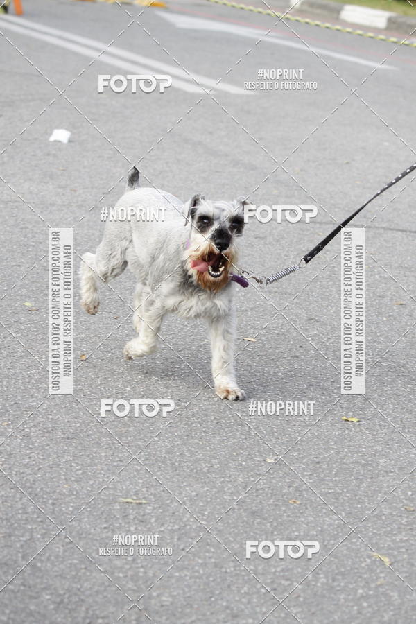 Buy your photos of the eventCorrida Pet Finde on Fotop