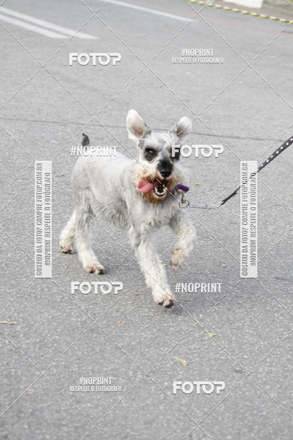 Buy your photos of the eventCorrida Pet Finde on Fotop