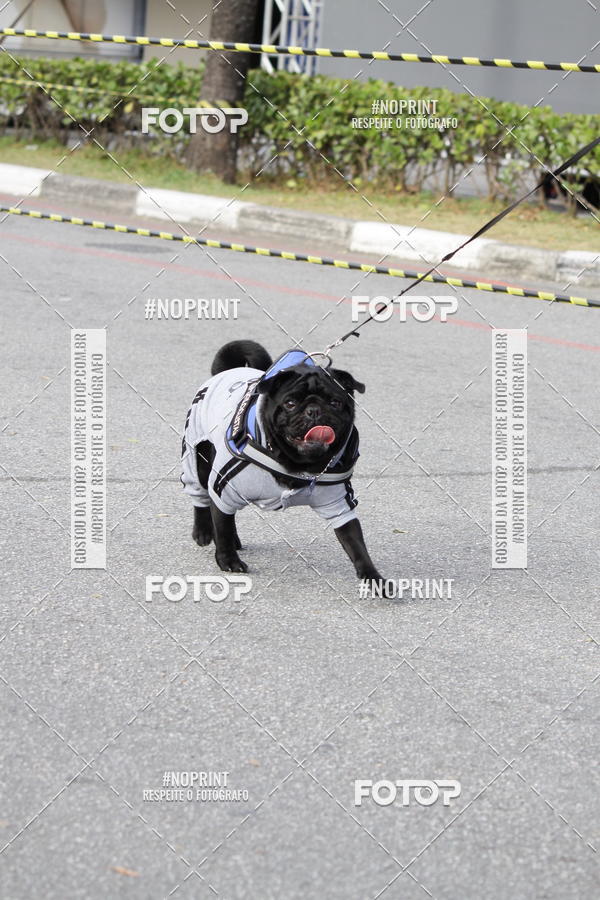 Buy your photos of the eventCorrida Pet Finde on Fotop