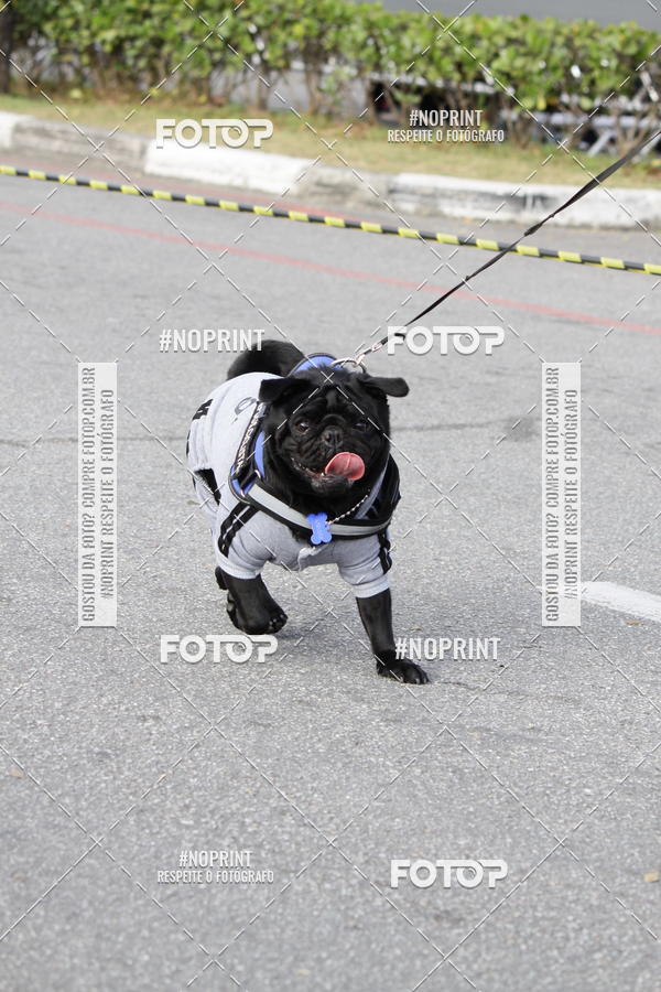 Buy your photos of the eventCorrida Pet Finde on Fotop