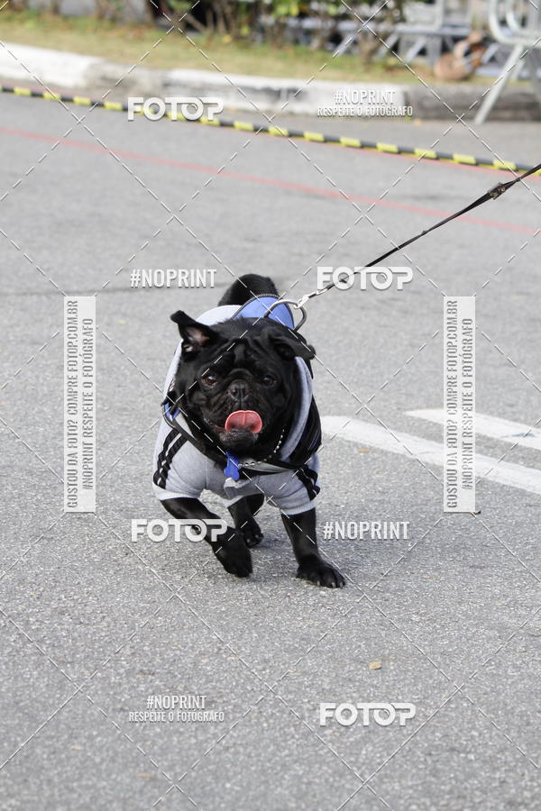 Buy your photos of the eventCorrida Pet Finde on Fotop