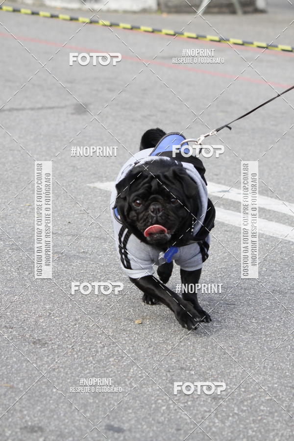 Buy your photos of the eventCorrida Pet Finde on Fotop