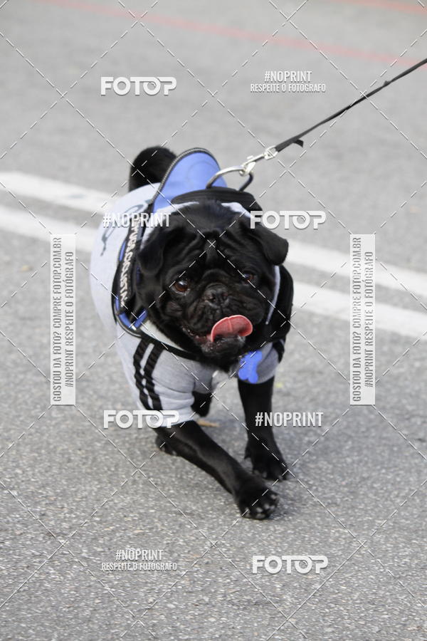 Buy your photos of the eventCorrida Pet Finde on Fotop