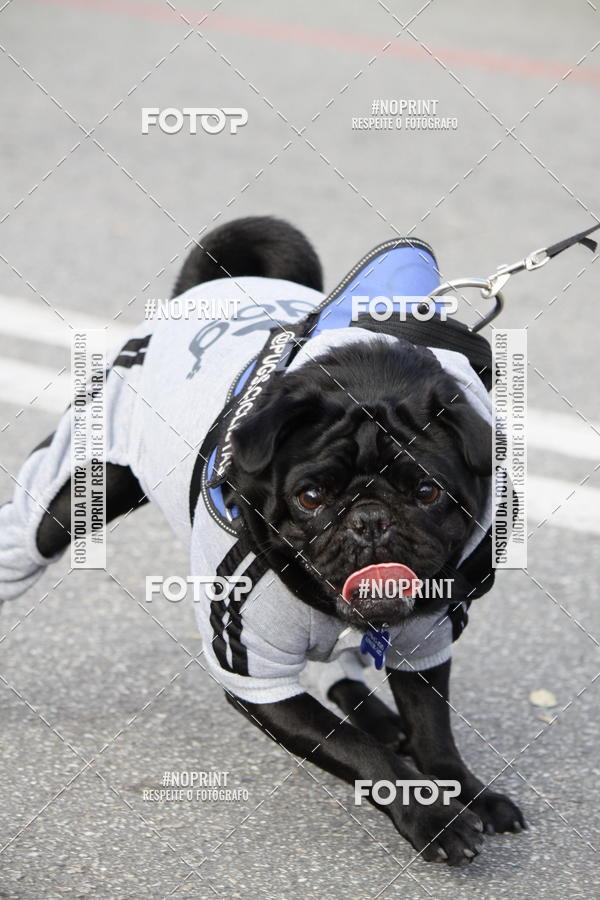 Buy your photos of the eventCorrida Pet Finde on Fotop