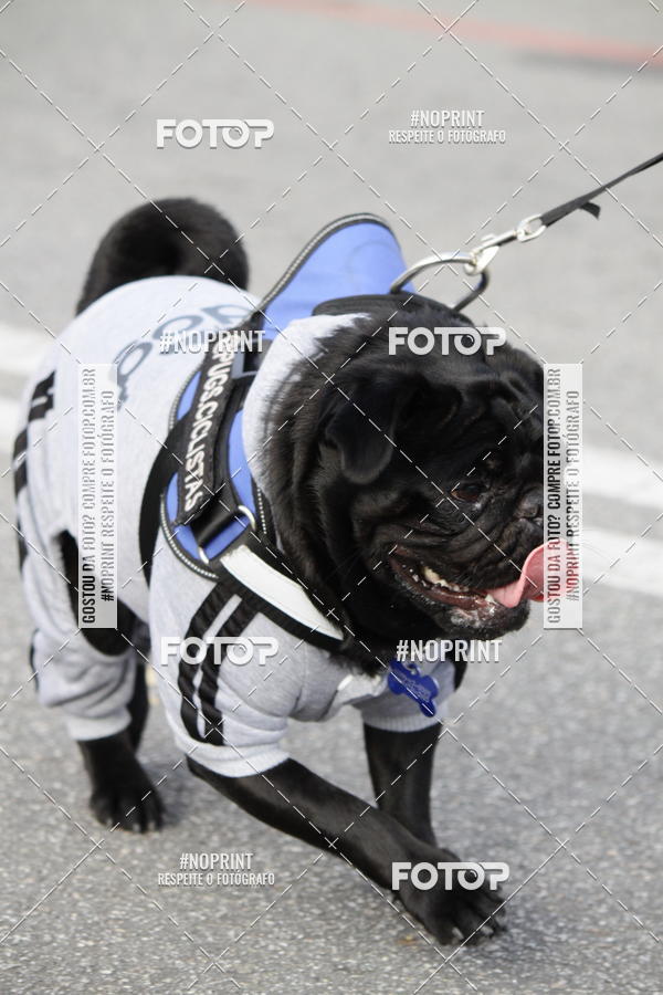Buy your photos of the eventCorrida Pet Finde on Fotop
