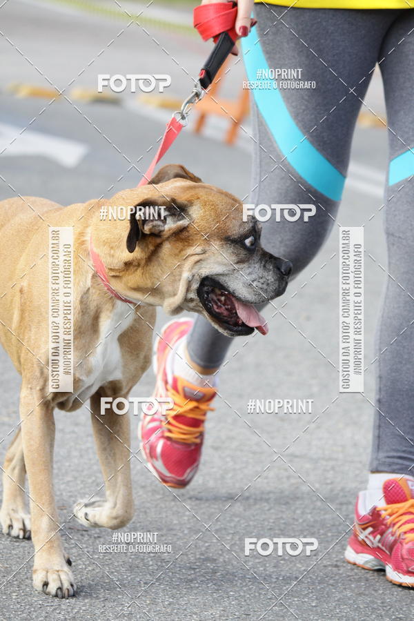 Buy your photos of the eventCorrida Pet Finde on Fotop