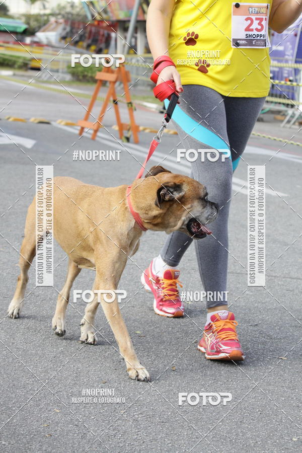 Buy your photos of the eventCorrida Pet Finde on Fotop