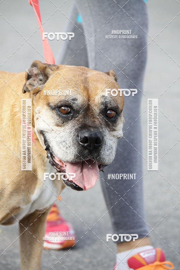 Buy your photos of the eventCorrida Pet Finde on Fotop