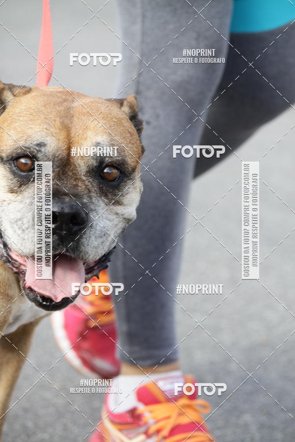 Buy your photos of the eventCorrida Pet Finde on Fotop