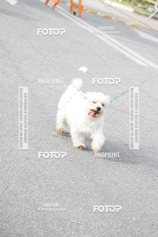 Achetez vos photos de l'vnementCorrida Pet Finde sur Fotop