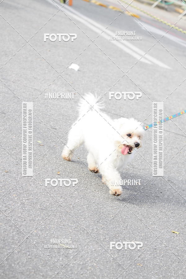 Achetez vos photos de l'vnementCorrida Pet Finde sur Fotop