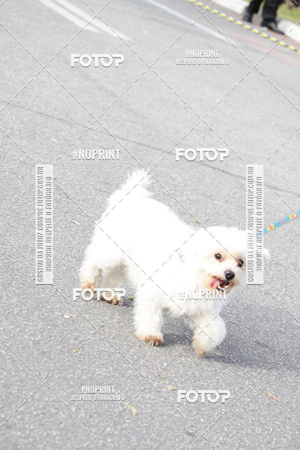 Buy your photos of the eventCorrida Pet Finde on Fotop