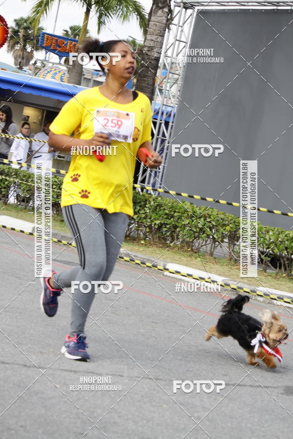Buy your photos of the eventCorrida Pet Finde on Fotop