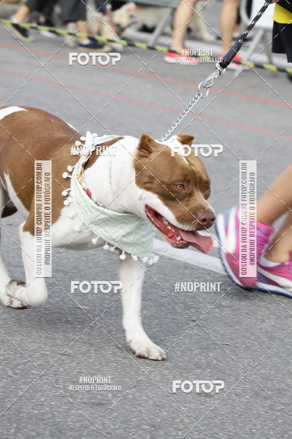 Buy your photos of the eventCorrida Pet Finde on Fotop