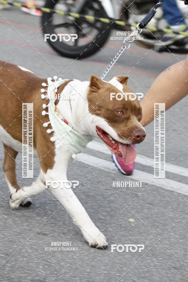 Buy your photos of the eventCorrida Pet Finde on Fotop