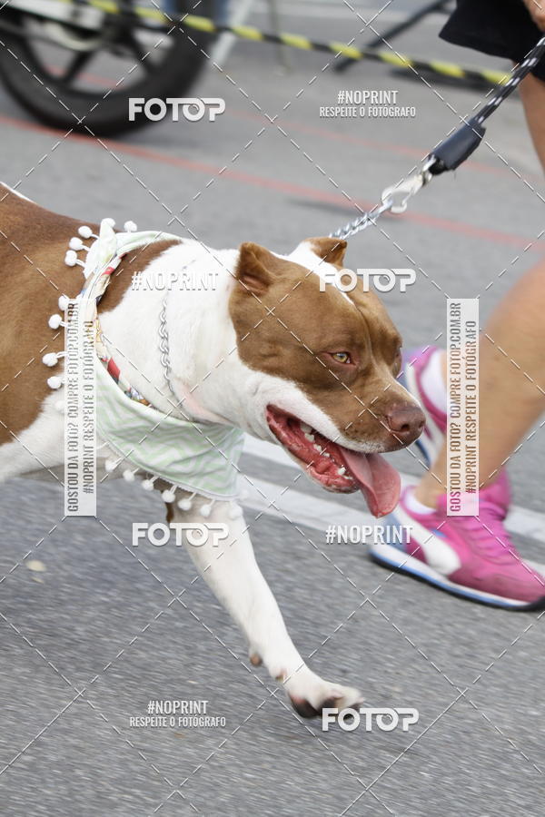 Buy your photos of the eventCorrida Pet Finde on Fotop
