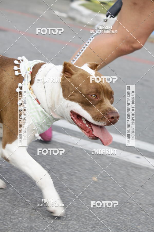 Buy your photos of the eventCorrida Pet Finde on Fotop