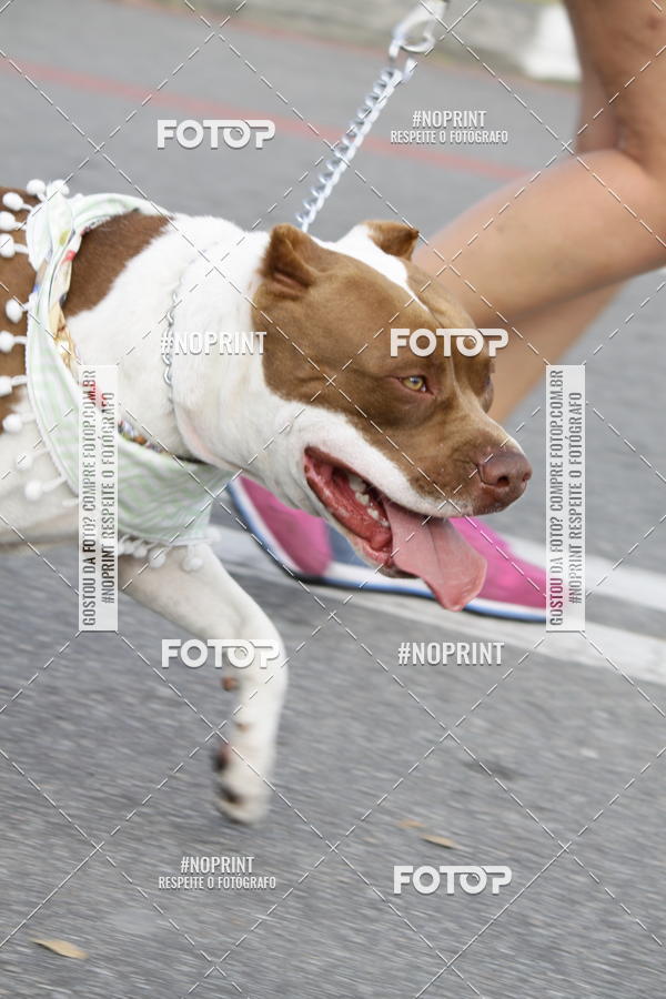 Buy your photos of the eventCorrida Pet Finde on Fotop