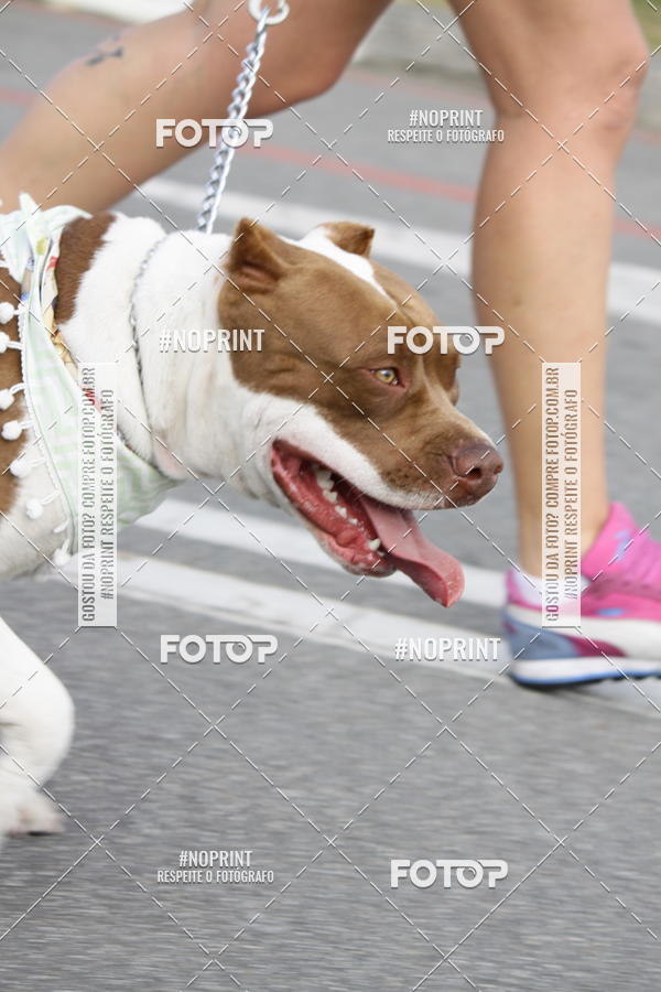 Buy your photos of the eventCorrida Pet Finde on Fotop