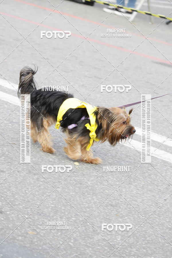 Buy your photos of the eventCorrida Pet Finde on Fotop