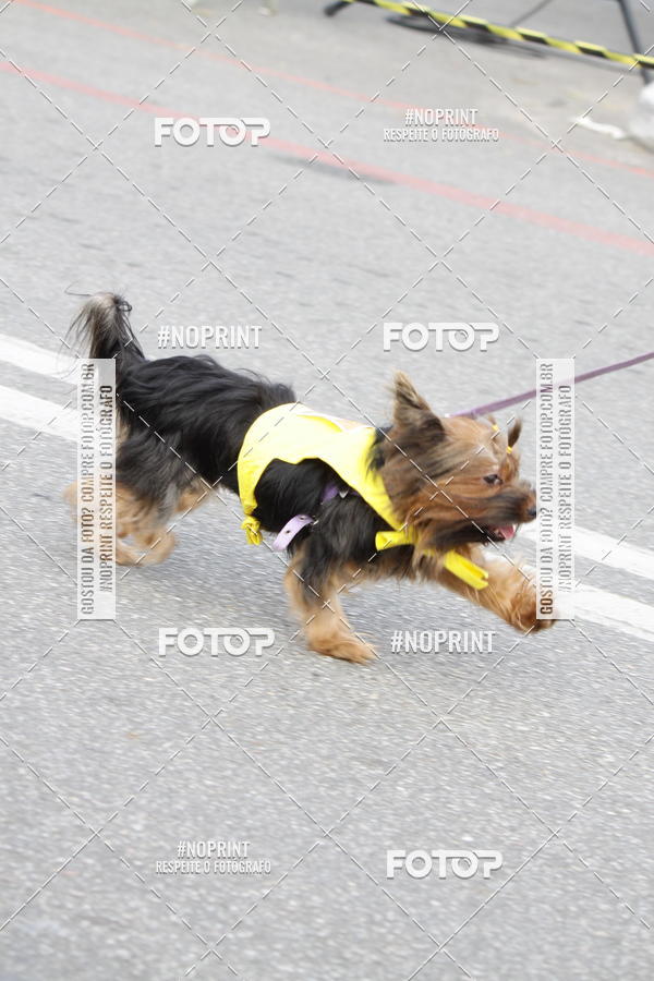Buy your photos of the eventCorrida Pet Finde on Fotop