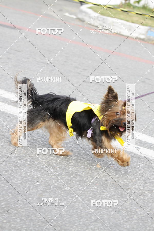 Buy your photos of the eventCorrida Pet Finde on Fotop