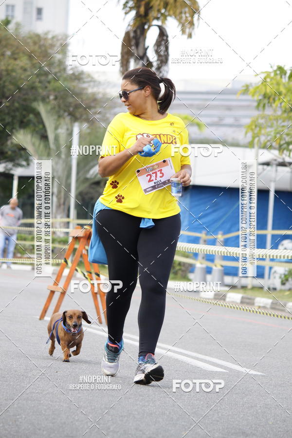 Buy your photos of the eventCorrida Pet Finde on Fotop