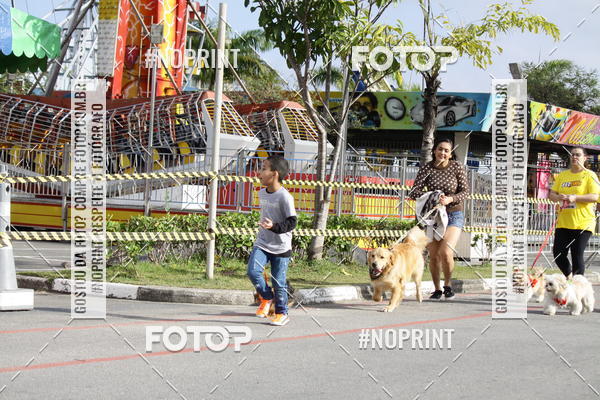 Buy your photos of the eventCorrida Pet Finde on Fotop