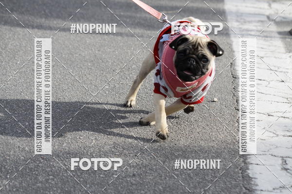 Buy your photos of the eventCorrida Pet Finde on Fotop