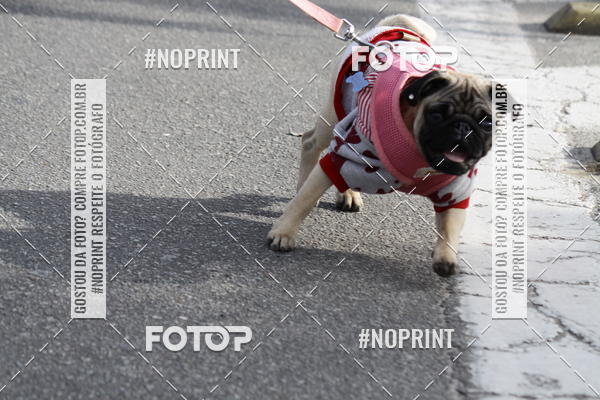 Buy your photos of the eventCorrida Pet Finde on Fotop