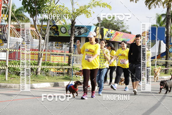 Buy your photos of the eventCorrida Pet Finde on Fotop