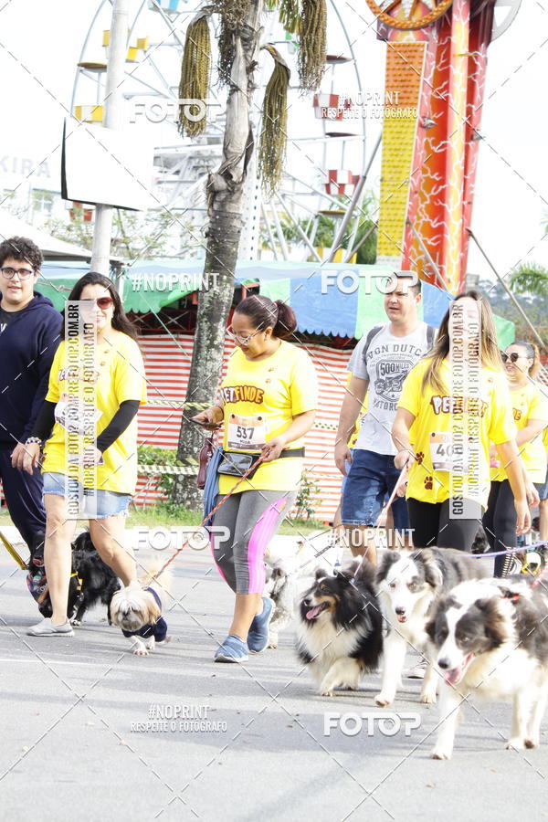 Buy your photos of the eventCorrida Pet Finde on Fotop