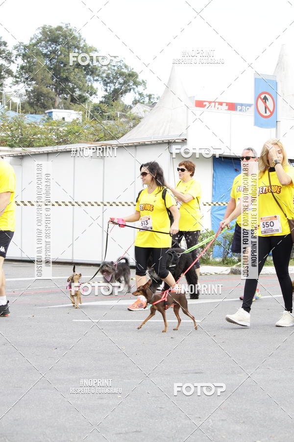 Buy your photos of the eventCorrida Pet Finde on Fotop