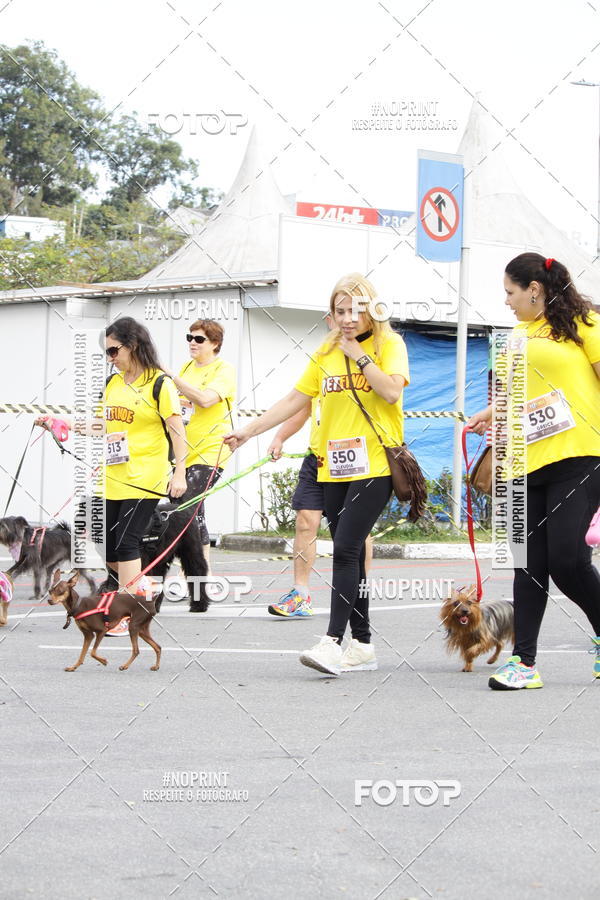 Buy your photos of the eventCorrida Pet Finde on Fotop