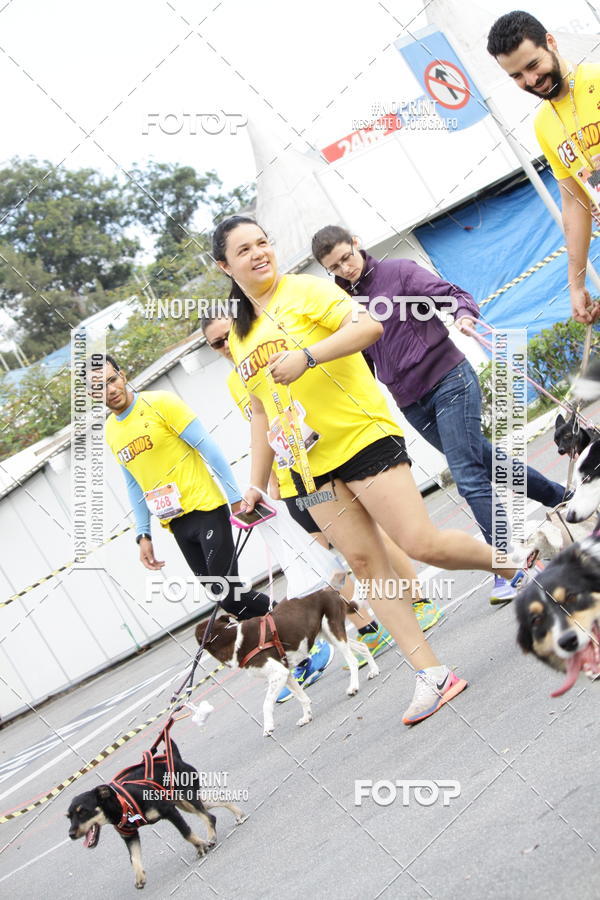 Buy your photos of the eventCorrida Pet Finde on Fotop