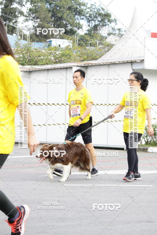 Buy your photos of the eventCorrida Pet Finde on Fotop