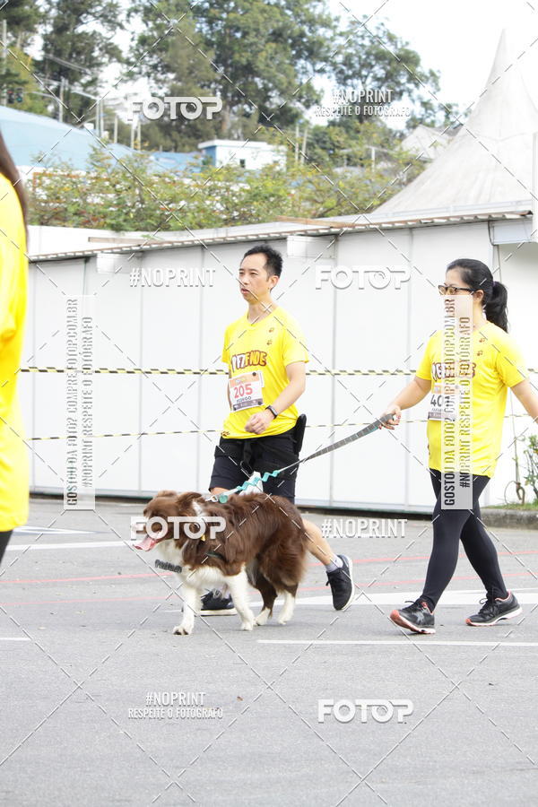 Buy your photos of the eventCorrida Pet Finde on Fotop
