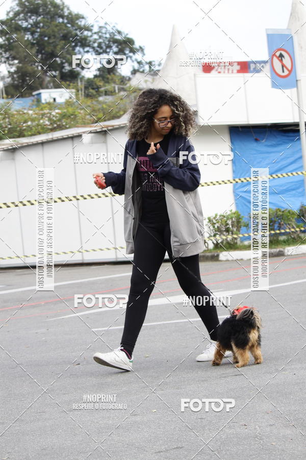 Buy your photos of the eventCorrida Pet Finde on Fotop