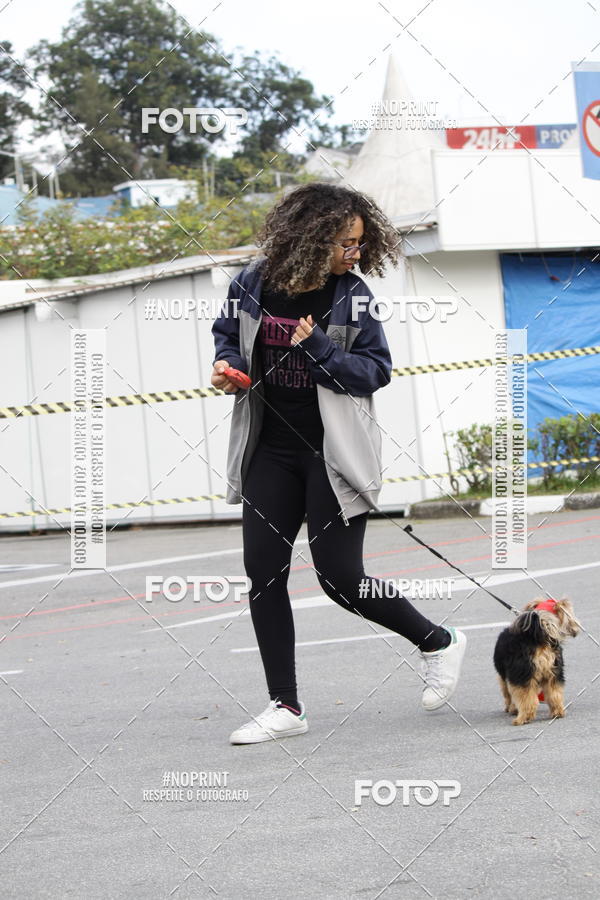 Buy your photos of the eventCorrida Pet Finde on Fotop